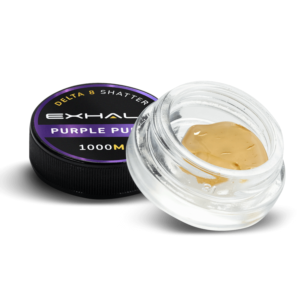 SHATTER - PURPLE PUNCH